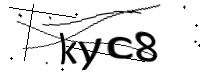 captcha_img